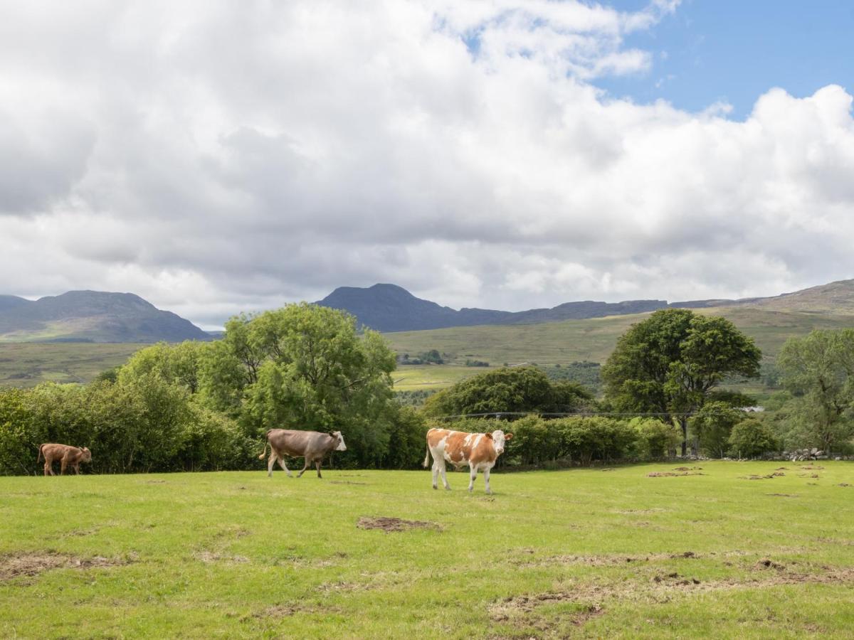 Hendre Cottage Trawsfynydd Eksteriør bilde